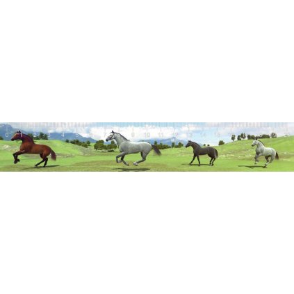 MCZ11 GALLOPING HORSES