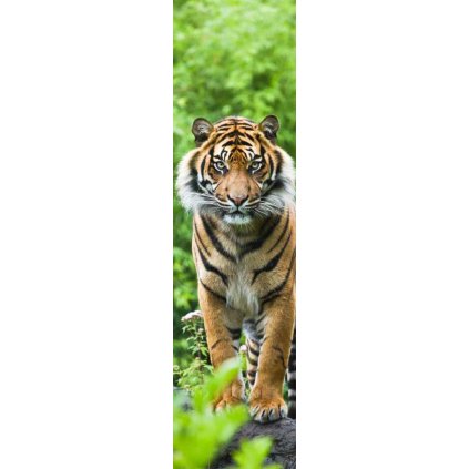 MCZ40 BENGAL TIGERw