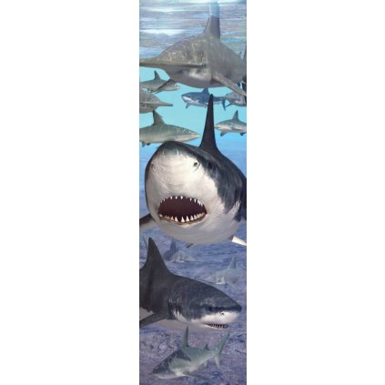 MCA19 SHARKY BOOKMARKw