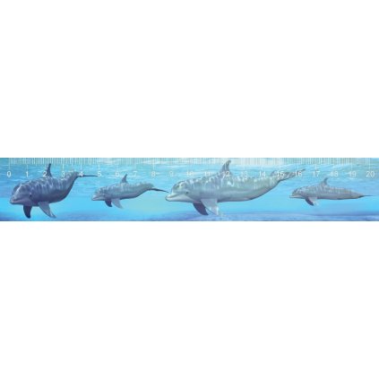 MCA18 DOLPHINS