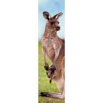 MCZ57 KANGAROO