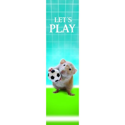 MPS43 LET´S PLAY