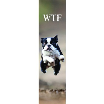 MPS44 WTF