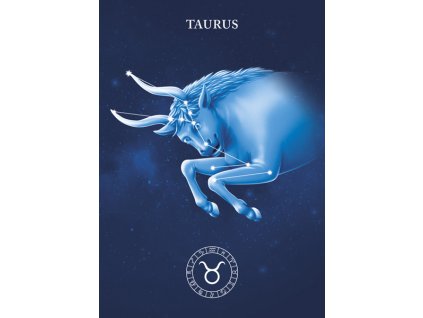 MCE02 TAURUS