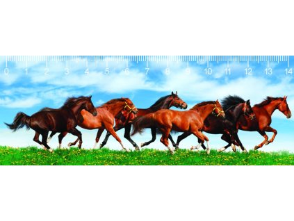 MC906 HORSES IN GREEN FIELD