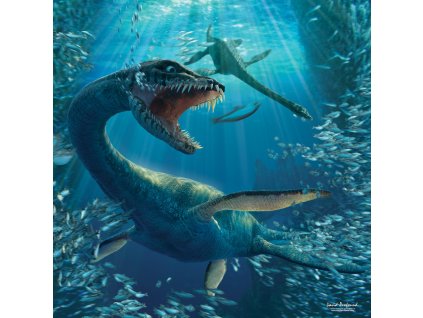 MCG66 PLESIOSAURUS