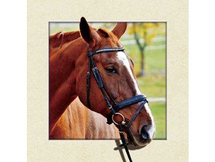 MC573 BROWN HORSE