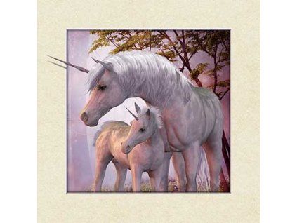 MC547 UNICORNS
