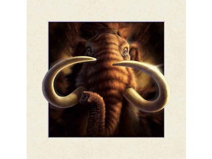 MC512 MAMMOTH