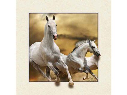 MC508 WHITE HORSES