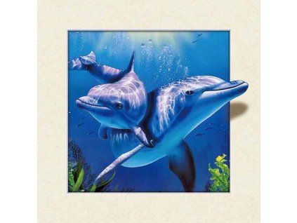 MC506 DOLPHINS
