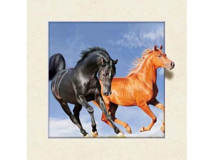 BROWN HORSES LARGE