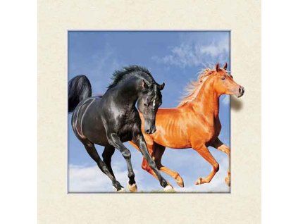 TWO HORSES LARGE