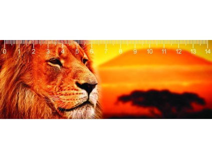 MC908 KILIMANJARO LION