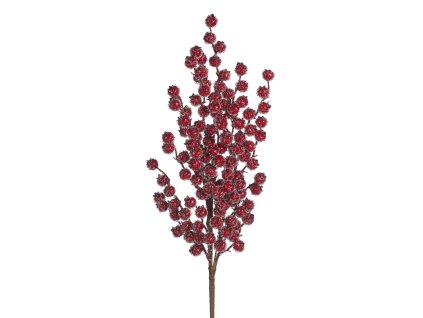 A 49924 RED 1