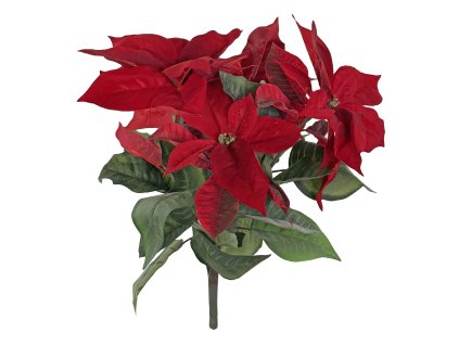 Poinsettia 45 cm