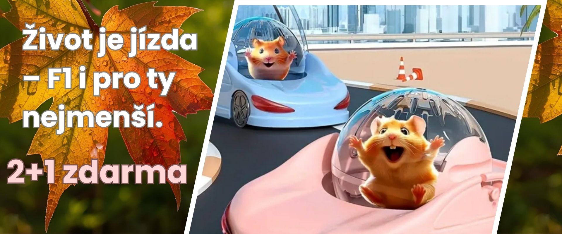 Slevová akce na autíčka pro hlodavce – Život je jízda! Kupte 2 a 1 dostanete zdarma.Originální hračky a dekorace pro vaše mazlíčky.