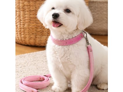 Obojek s vodítkem 2v1 a jménem set