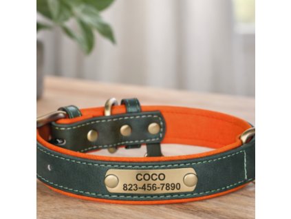 Obojek s jmenovkou Kožený