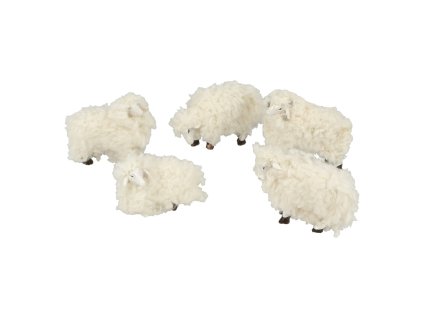 Ovce stádo 5ks