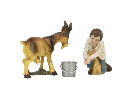 CHLAPEC S KOZOU PŘI DOJENÍ