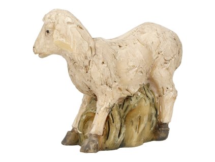 Ovečka malá, rezin