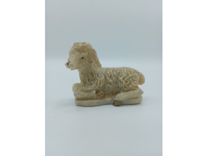 Tele ležící blyštivé