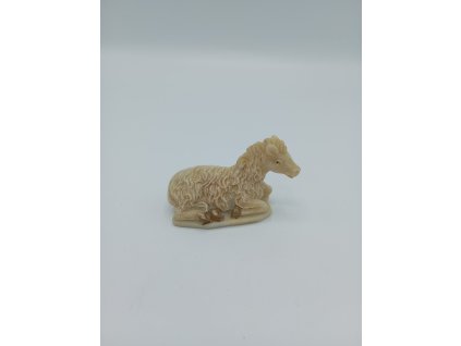 Osel ležící blyštivý