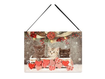 Obrazy Vánoce malý baterie