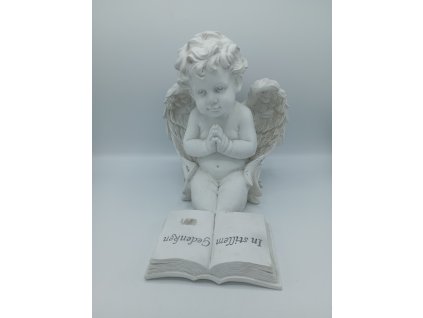 Anděl s knihou