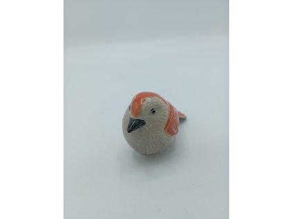 PTÁČEK ZÁPICH,7CM MIX, MRAZUVZDORNÝ - SADA