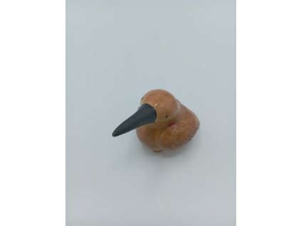 nový ptáček na dřevěné tyčce bez díry 9cm dlohý zobák mix barev - sada