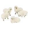Ovce stádo 5ks