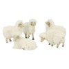 Ovce stádo 5ks