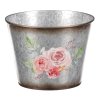 Kyblík plech růže menší