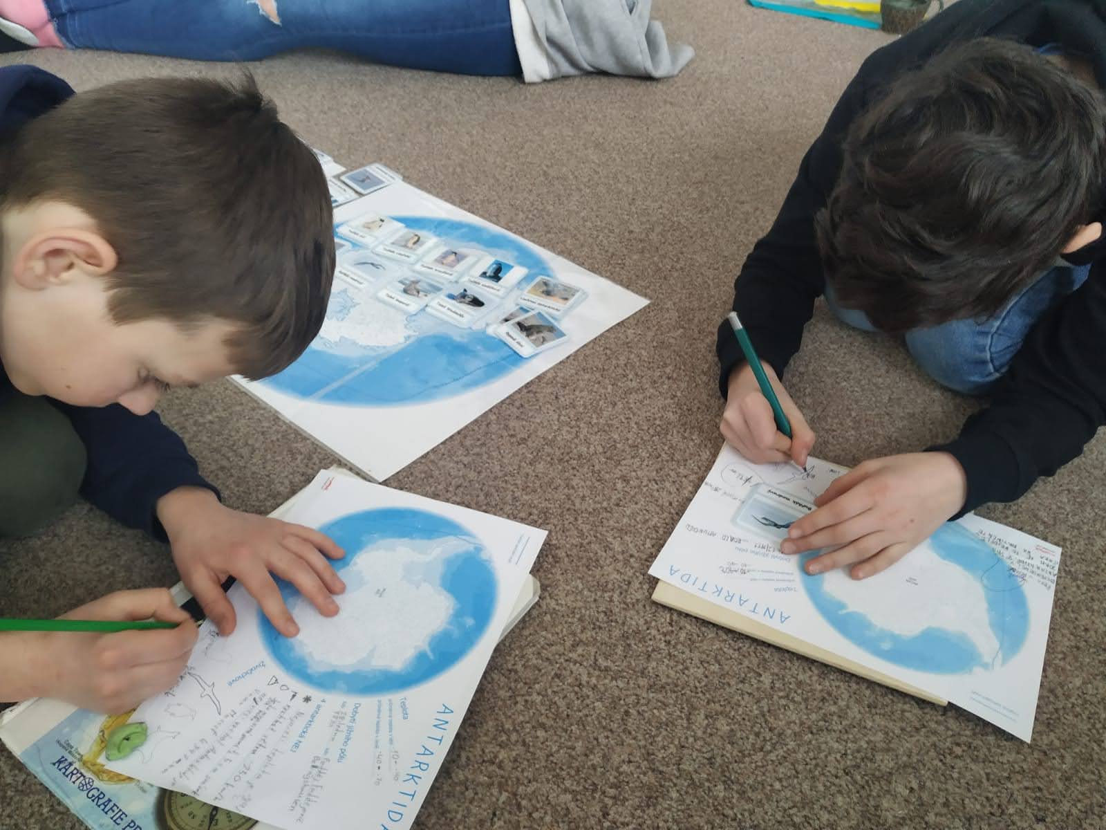 Polární oblasti ke stažení