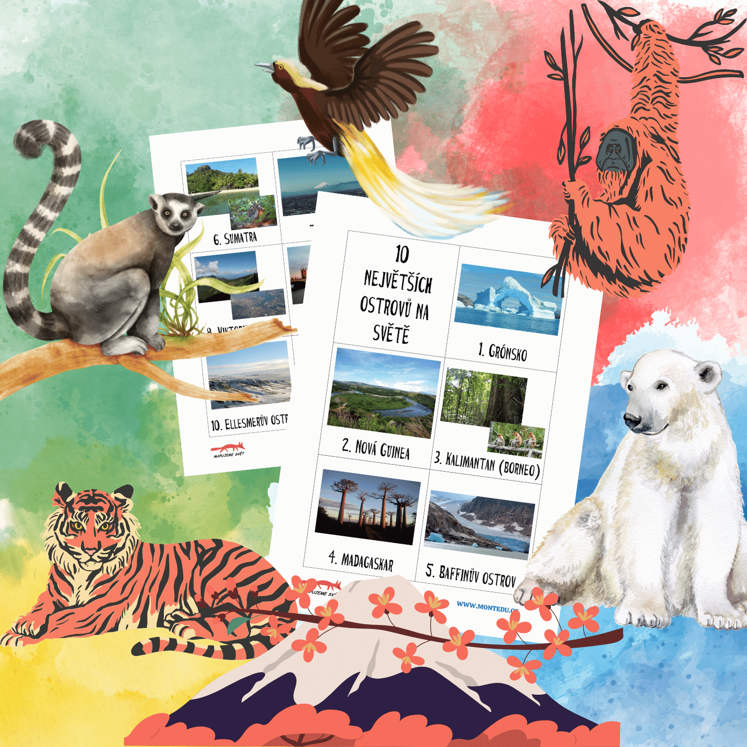 Největší ostrovy světa