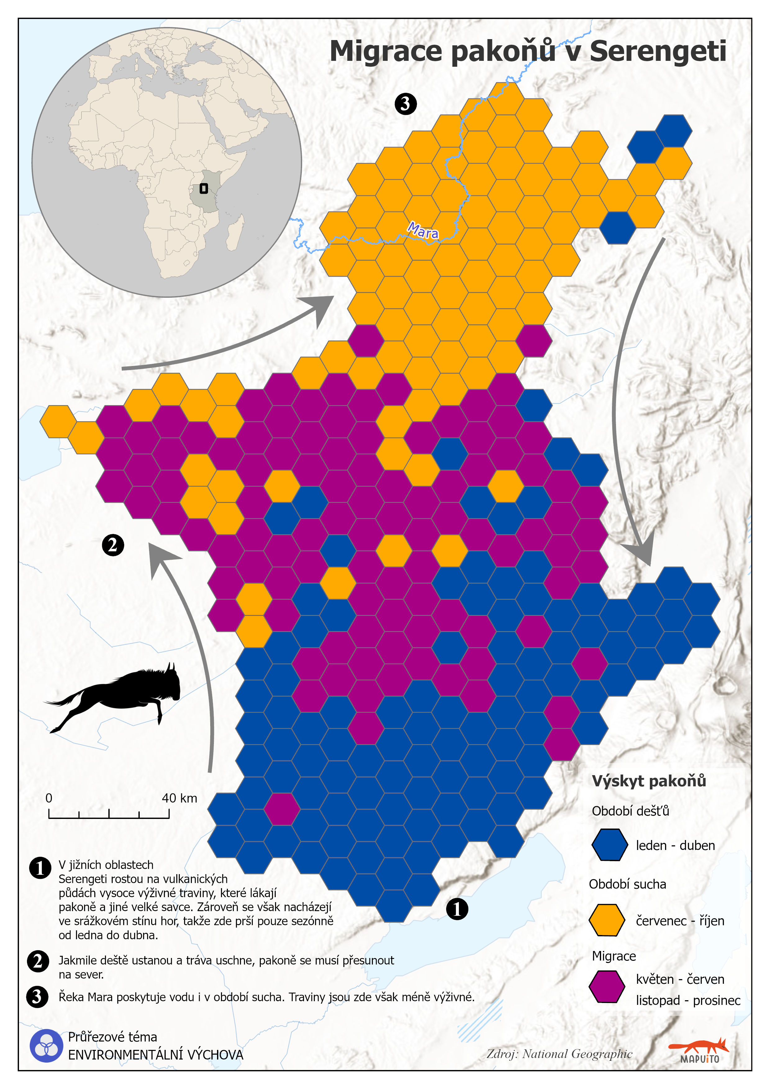 Migrace pakoňů v Serengeti