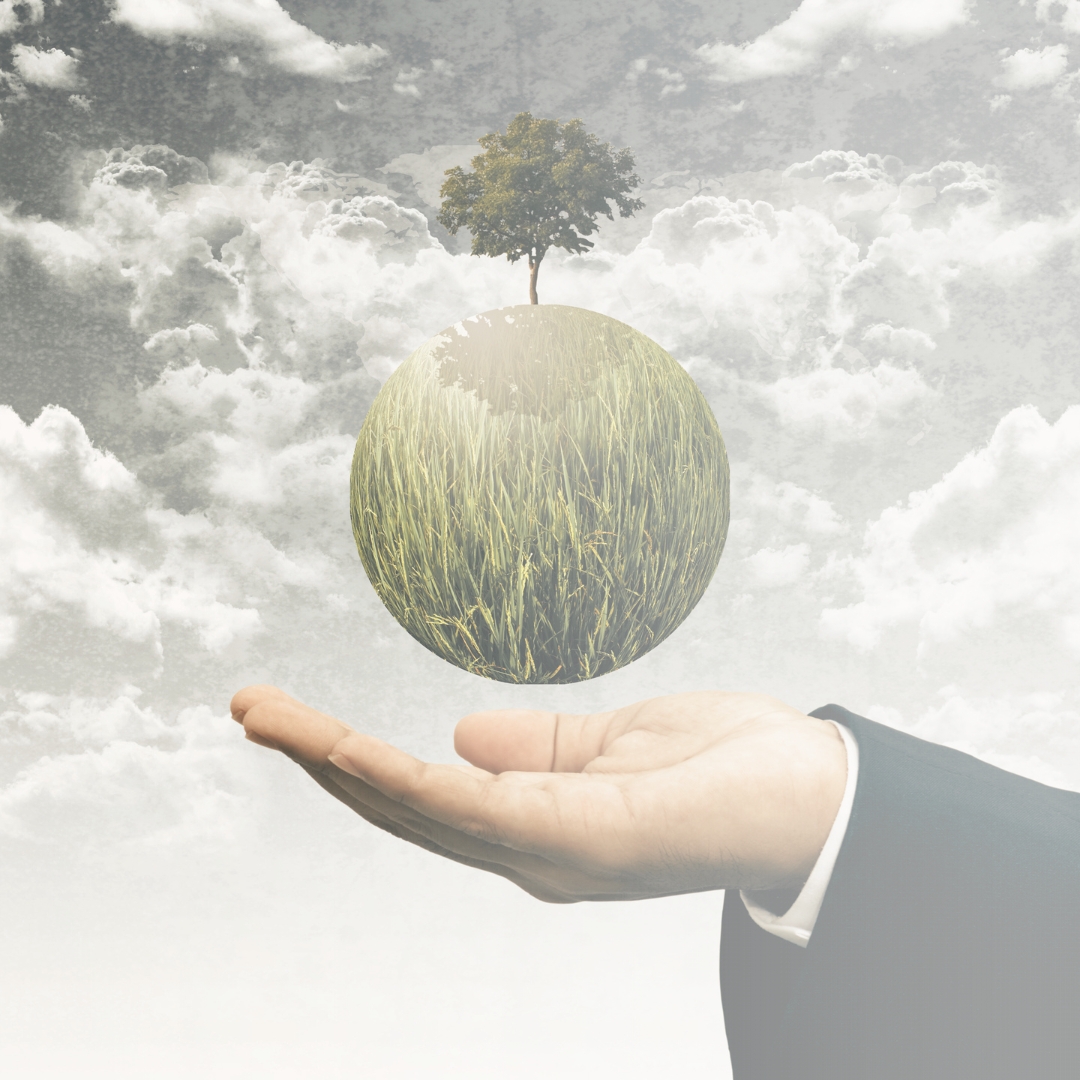Ekologický přístup v mé tvorbě: Udržitelnost na prvním místě