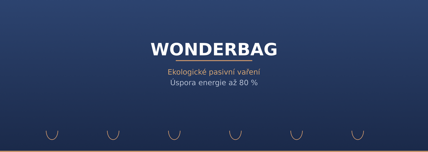 Wonderbag