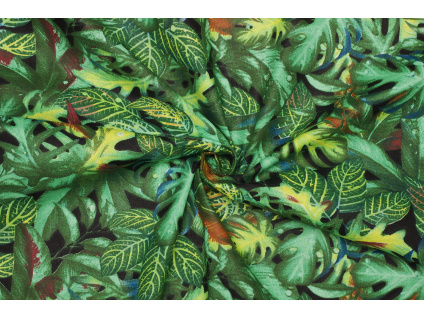 Bavlněné plátno - Květinový vzor / monstera