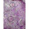 Brokát - Fialový se stříbrným vzorováním 2. Jakost