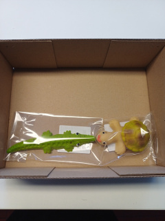 Želva s krokodýlem v krabici