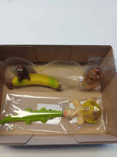 Všechny figurky v krabici