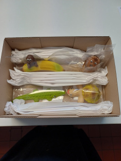 Přídáme výplňový papír.