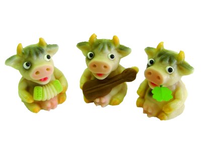 Hrající duo, 2 druhy