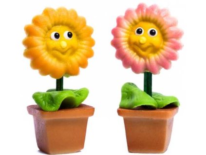 Gerbera z marcipánu, 2 barvy, celé balení