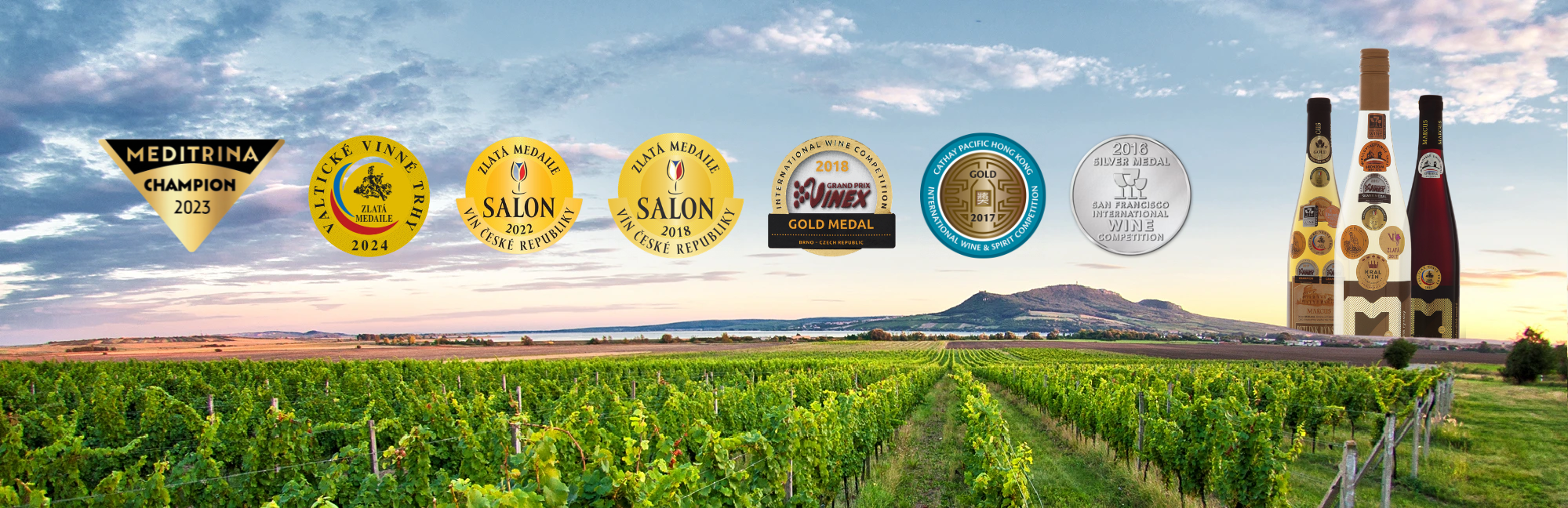 Výhled na moravskou vinici | Vinařství Marcus