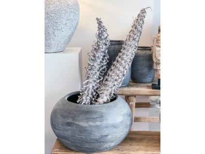 C6D50B7D 4D57 42F8 BF30 37FE2229C613 2