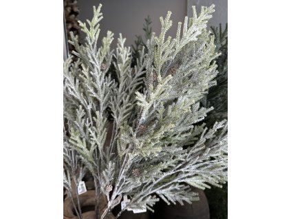 Zasněžená větev Cedar